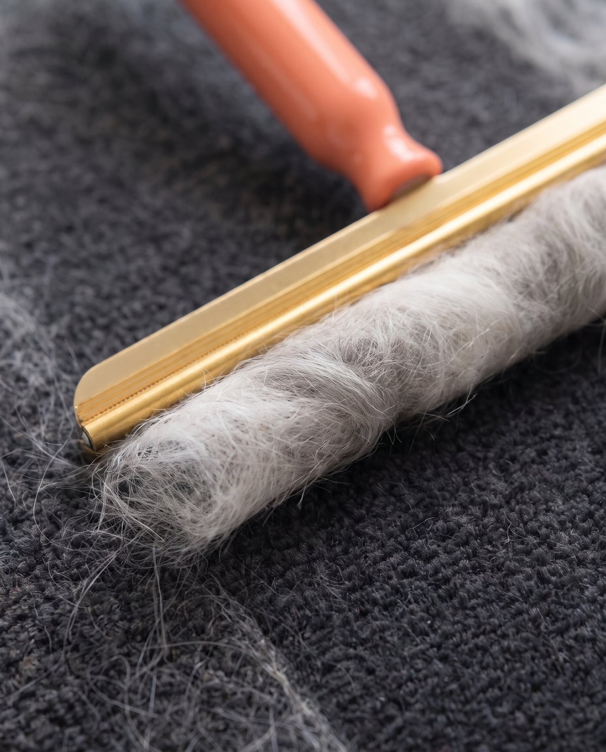 Close-up of the rake's metal edge with a roll of gathered pet hair